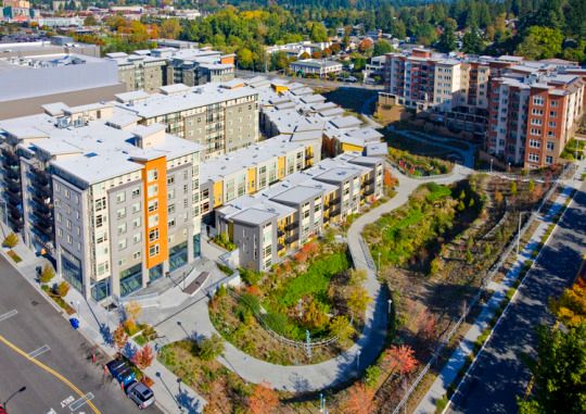 tumblr_inline_orv6ieqy9Z1qjkuen_540