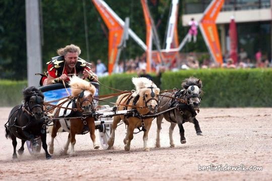 tumblr_mlsb0sPgEE1rr3z8io1_540