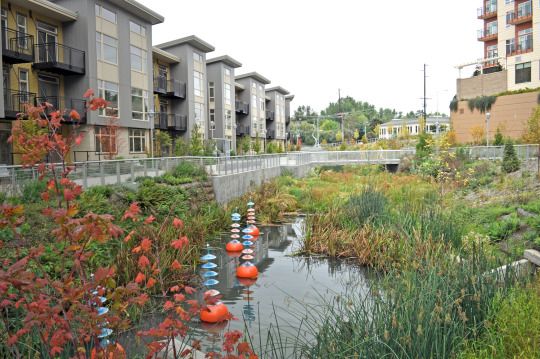 tumblr_inline_orv6j6MNlc1qjkuen_540