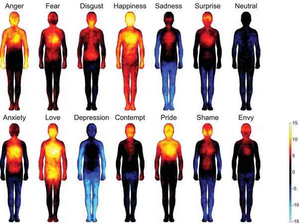Mapping Emotions On The Body