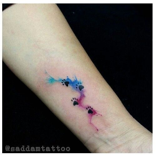 7e7040dc5b95848995f820e21fd8bd40