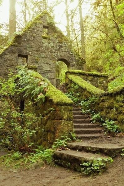 tumblr_pxvgidMa2y1y5gojio1_640