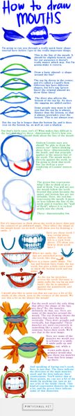 Mouth Anatomy