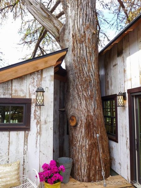 tumblr_pd5utiMPn71qep2npo8_1280