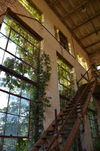 tumblr_nvq69sTQgZ1sbmrx1o1_400