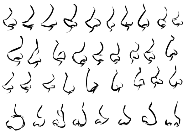 Nose Types