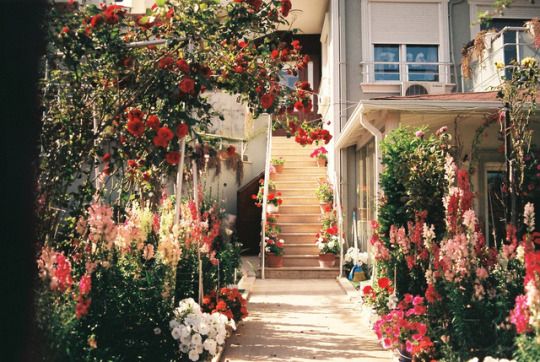 tumblr_ookws49UJZ1u2onddo1_540