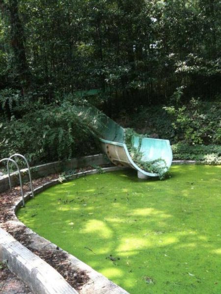 tumblr_inline_oq8dnc8oN61qkdx2t_500