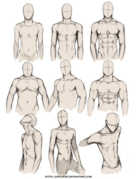 Body Types by jinx-star on deviantart