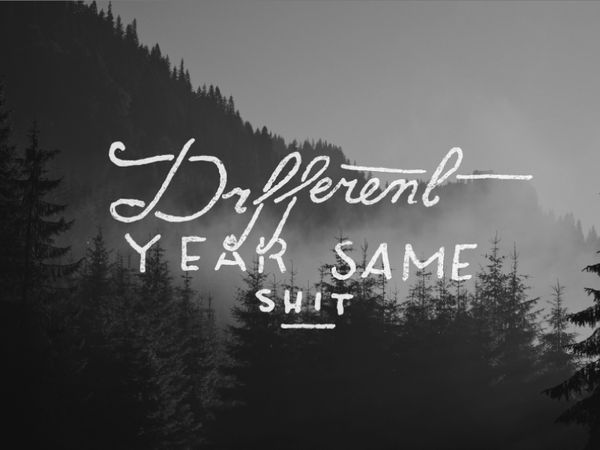 forest-light-800-600