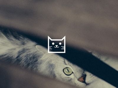 2796083608077_YbgBpNVz_l