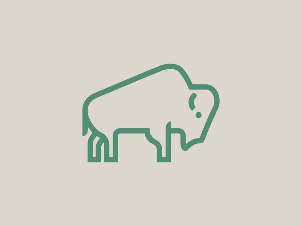 bison