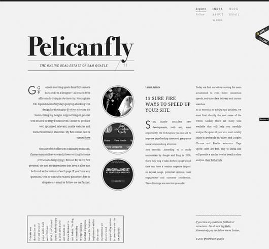 020712-083330AM_Pelican_Fly