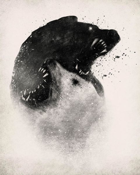 117453154018_zn9lRg4I_l