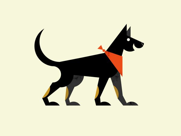 Laika2