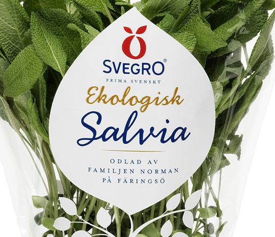 svegro7
