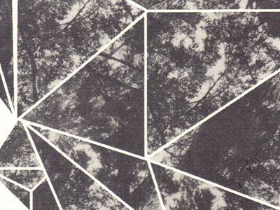 tree_top_scan_02