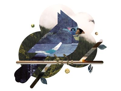 cardinal-collage