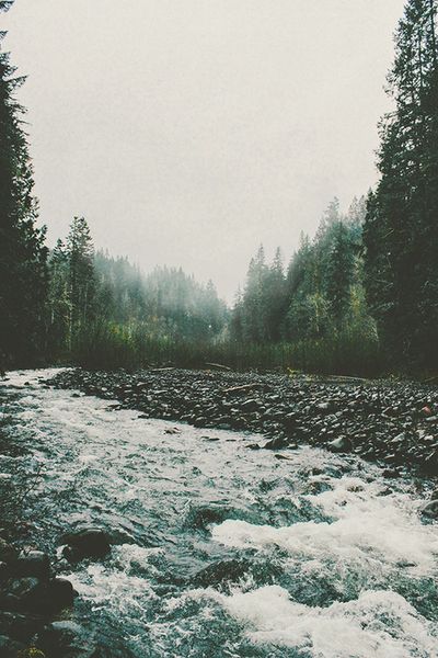 tumblr_mufy2mVwYh1r6a3q3o1_500