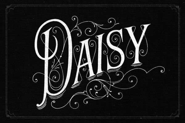 Daisy_FULL