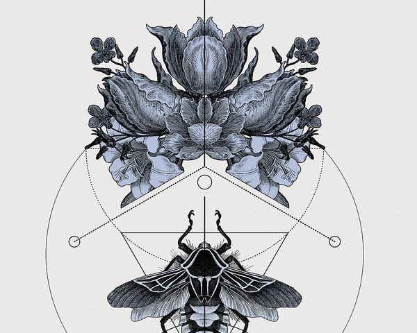 hannes_hummel_panoply_dribble_big_03