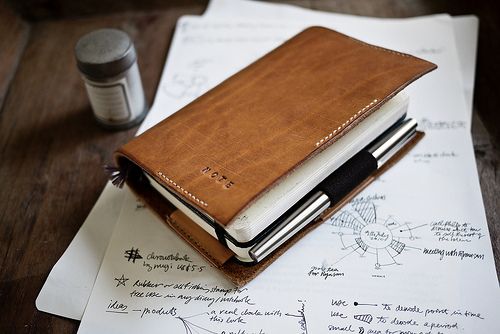 tumblr_lk86qbMW5y1qa9pnro1_500