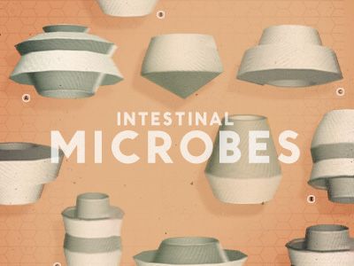 microbes