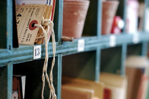 tumblr_kxjphkoWdY1qznotko1_500