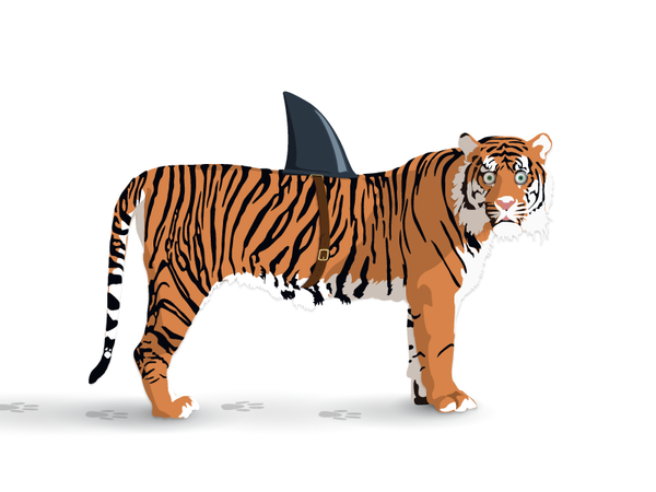 tigershark