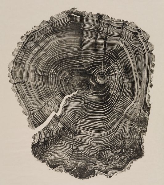 01remix-woodcut-slide-chl2-jumbo