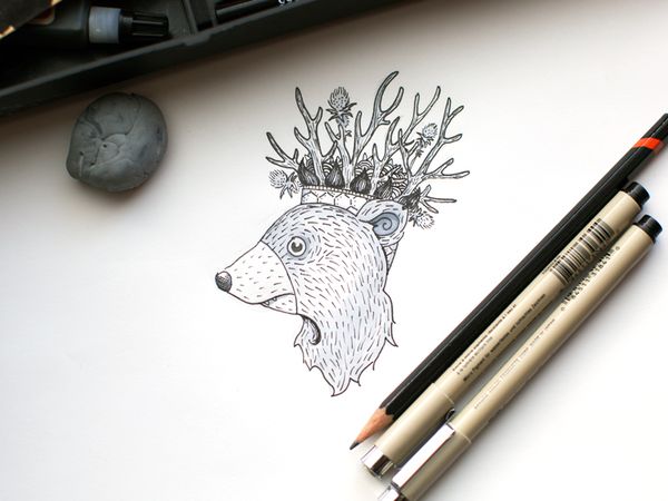 bear-dribbble