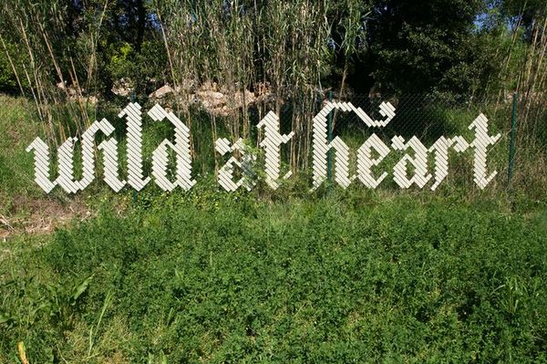 82165447a935656616dca440cb33b37a