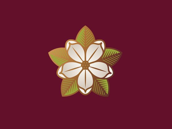 magnolia_j_fletcher_charleston_dribbble