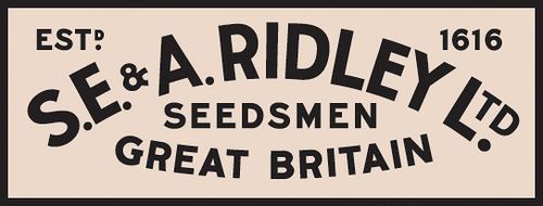 4286450171_76a3335c2d