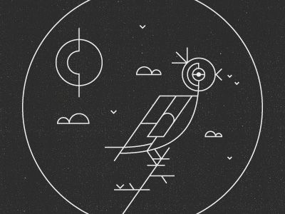 bird