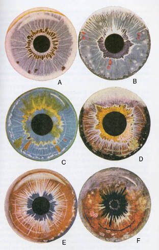 2523202456933_68y3hSXx_l