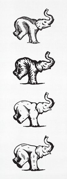 elephant_evolution