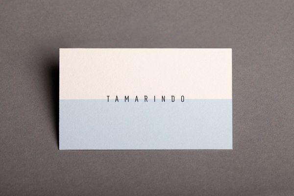 01-Tamarindo-Business-Card-by-La-Tortilleria-on-BPO