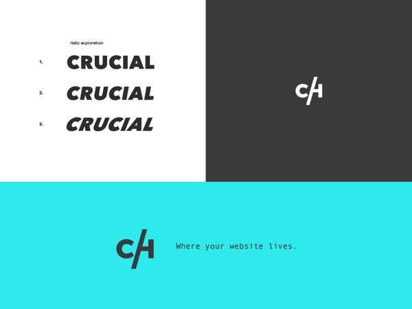 crucialdribbble