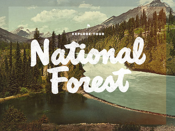 national-forest