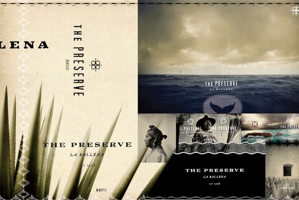 preserve_id-1