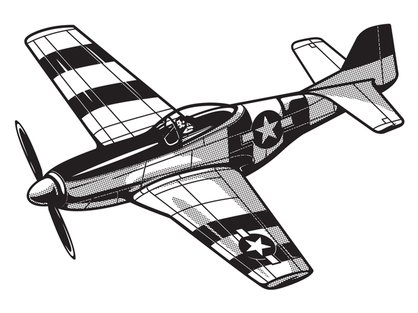 P51-Mustang-x2