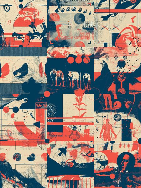 129886515134_3mXQPOij_l