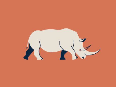 rhino