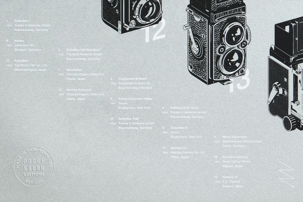 evolution-poster_silver-detail01