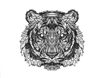 tiger_400x300