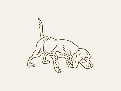 beagle_for_trevor_rogers