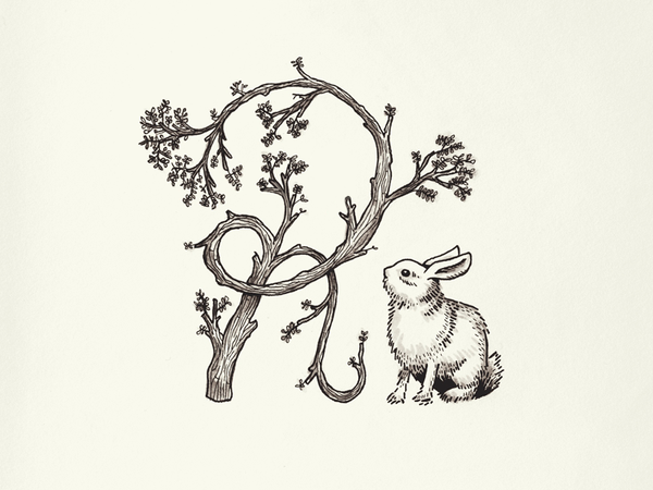branch_and_bunny