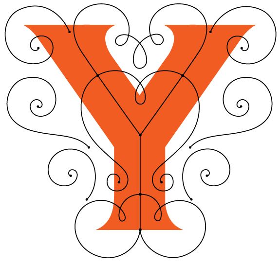 Y-1