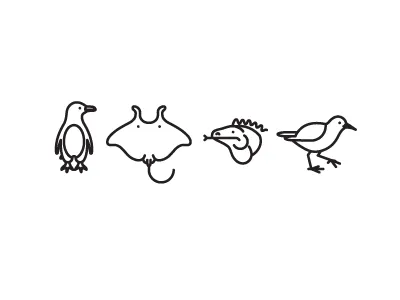 dribbble